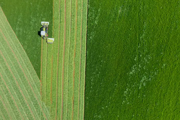 The drone view of a tractor cutting grass to make silage to feed livestock during the winter months