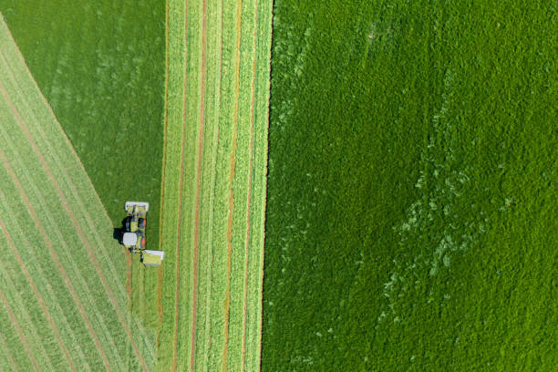 istock Drone view of grass being mown in a field 1322523484