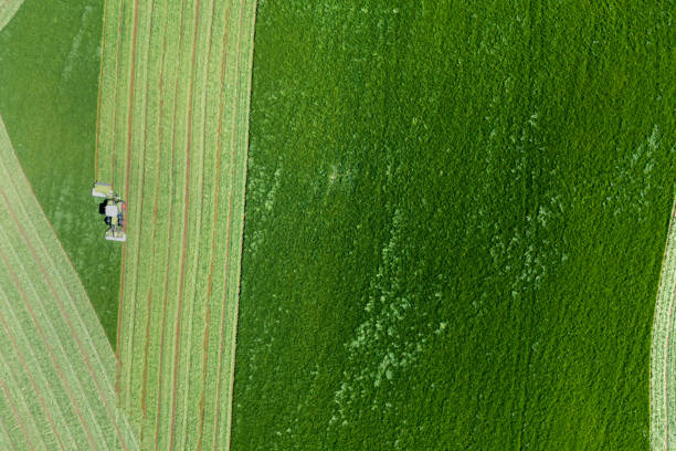 istock Drone view of seasonal work in a field 1322523499