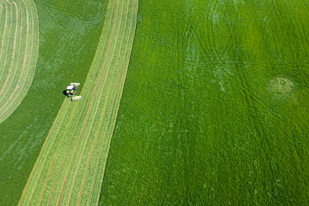 istock High angle drone view of a tractor cutting grass 1322523537