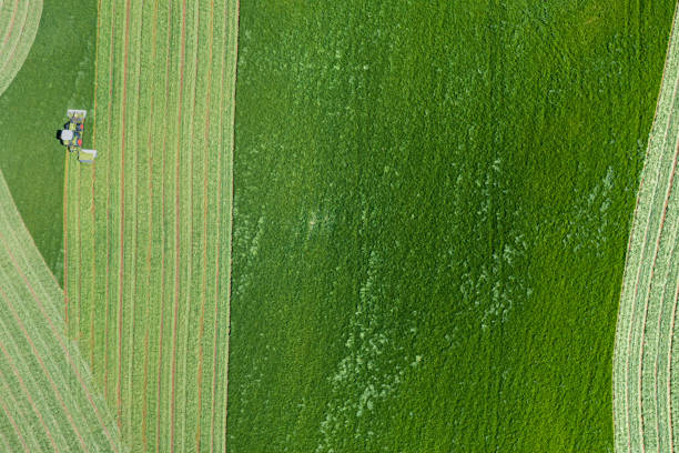 istock The drone view of grass cutting in a field 1322523568