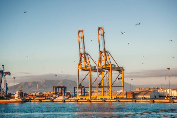 Crane, seaport, cargo yard with seagulls