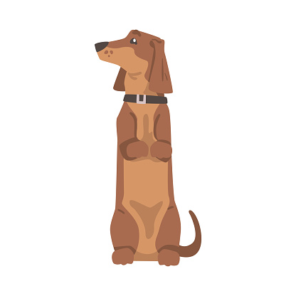Free Dog on Hind Leg Clipart in AI, SVG, EPS or PSD