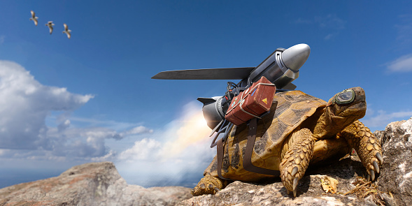 A tortoise climbing to the summit of some rocks with a jet packed strapped to his shell. A brown vintage suitcase with stickers from previous visits is strapped to the side. The tortoise has goggles on and the jetpack is firing ready for takeoff.