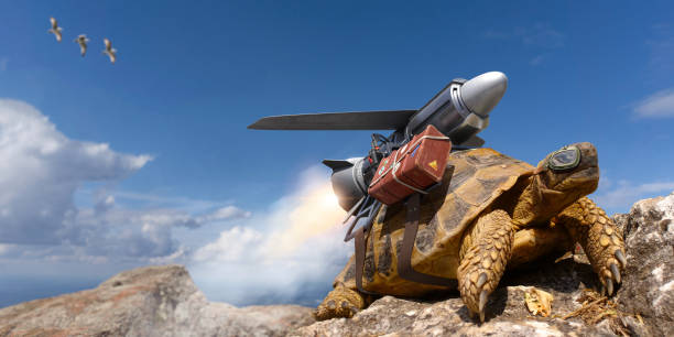 tortoise-in-goggles-with-jetpack-and-lug