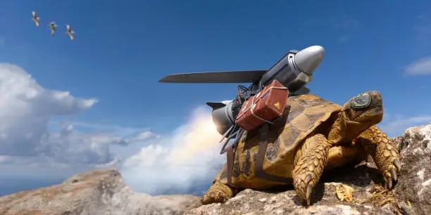 Photo of Tortoise In Goggles With JetPack and Luggage Strapped To His Shell About To Take Off On Vacation