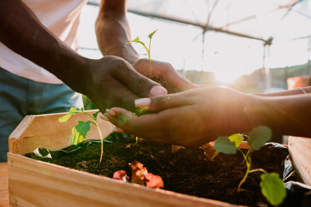 istock Hands holding plant over soil land, sustainability. 1322528644