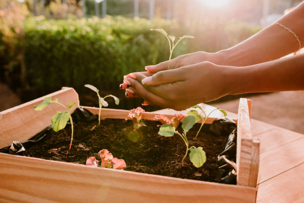 istock Hands holding plant over soil land, sustainability. 1322528645