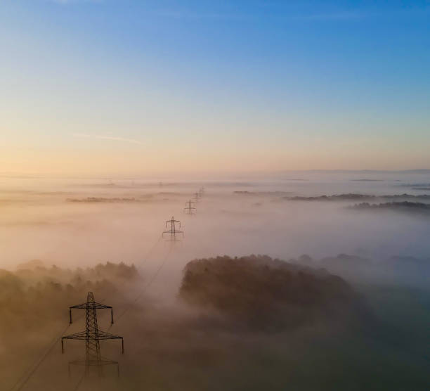 istock Like soldiers in the mist… 1322530926