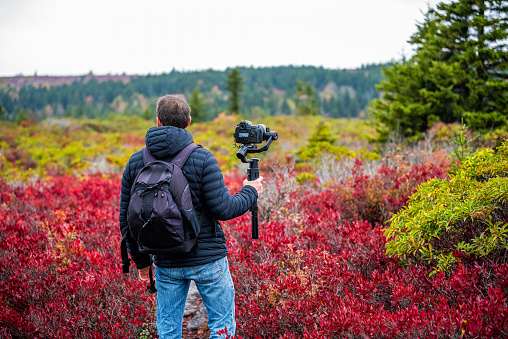 Young man photographer with camera and tripod stabilizing gimbal hiking on autumn Bear Rocks trail in Dolly Sods, West Virginia filming video of red huckleberry bushes