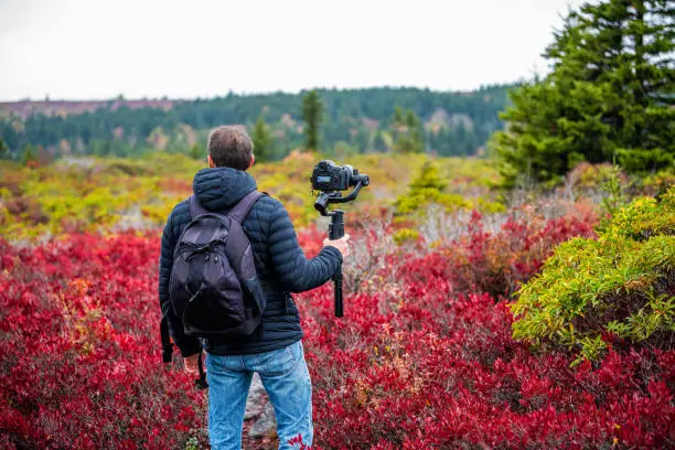 Photo of Young man photographer with camera and tripod stabilizing gimbal hiking on autumn Bear Rocks trail in Dolly Sods, West Virginia filming video of red huckleberry bushes