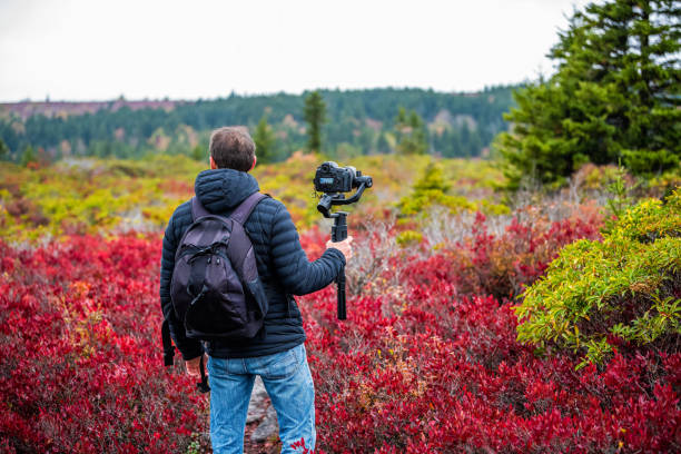 young man photographer with camera and tripod stabilizing gimbal hiking on autumn bear rocks trail in dolly sods, west virginia filming video of red huckleberry bushes - canaan valley imagens e fotografias de stock