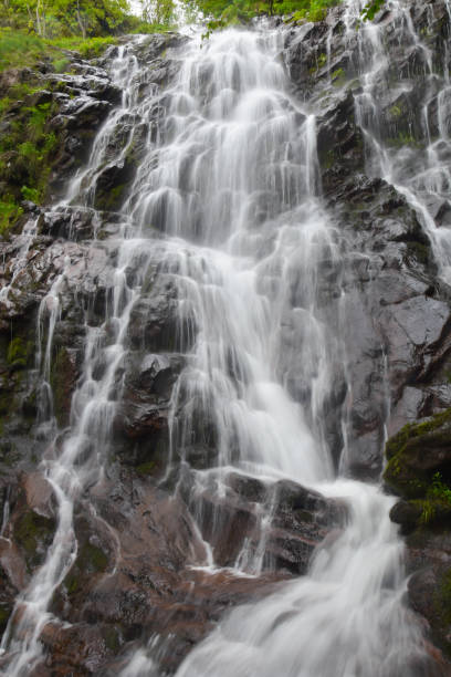 istock Beautiful waterfall in green forest in jungle 1322533151