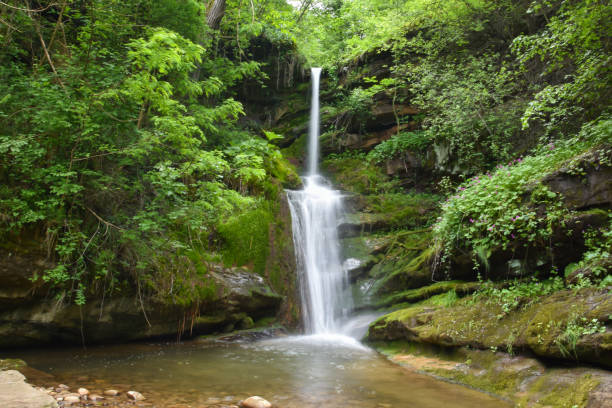 istock Beautiful waterfall in green forest in jungle 1322533239