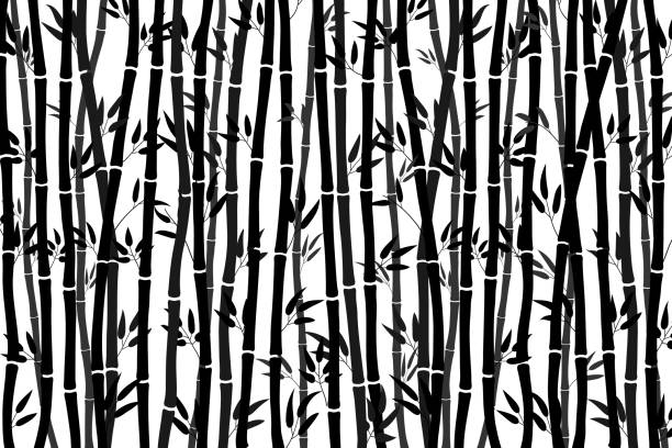 Abstract background - bamboo forest. Black drawing of bamboo stalks on a white background. Vector illustration Abstract background - bamboo forest. Black drawing of bamboo stalks on a white background. Vector illustration, print, texture bamboo background stock illustrations