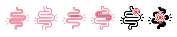 Colitis. Stomach set icon for medical design Colitis. Stomach set icon for medical design irritable bowel syndrome stock illustrations