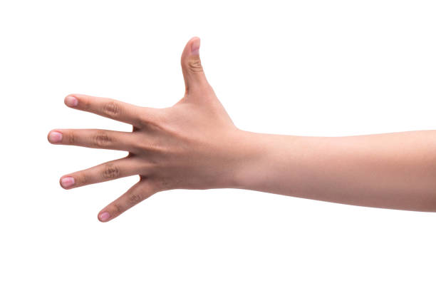 Gestures. One person's hand shows five fingers. Account concept 1,2,3,4,5 stock photo