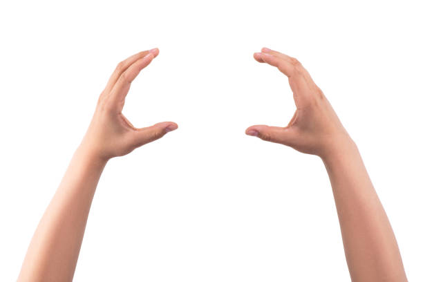 istock Gesture with two hands to grab, grasp something. Isolated on white background 1322545144