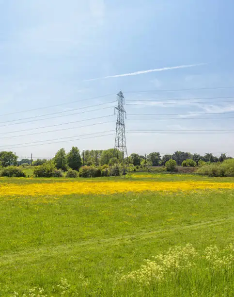 Pylons carrying power cables passes over a field of buttercups and a railway track runs alongside. A sky with light clouds is above.