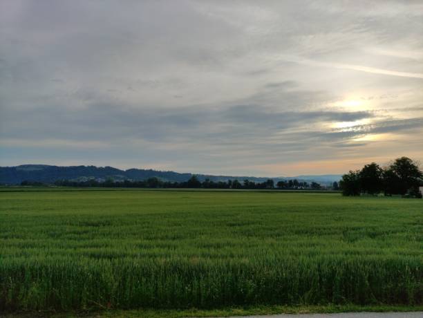 istock Landscape in Urfahr surroundings 1322546464