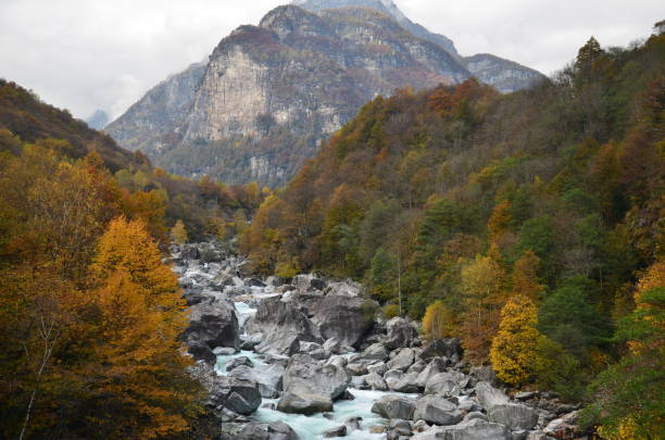 swiss alps valley with stone river colorful trees and leaves, background mountain, ticino valle maggia, maggiatal - riverbed switzerland valley stone imagens e fotografias de stock