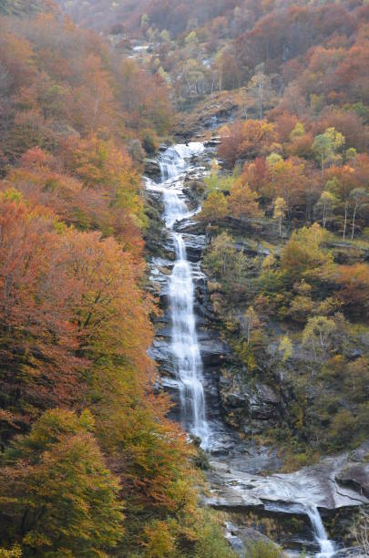 enorme cascada en el tesino valle maggia, maggiatal, suiza en las montañas, imagen de larga exposición - riverbed switzerland valley stone fotografías e imágenes de stock