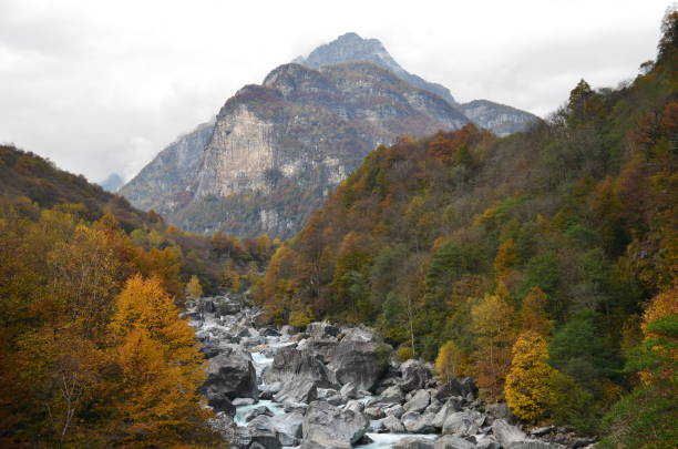 río lleno de piedra en el valle de los alpes suizos con árboles y hojas de colores, montaña de fondo, valle maggia del tesino, maggiatal - riverbed switzerland valley stone fotografías e imágenes de stock