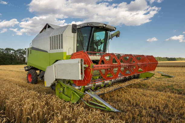 istock Modern combine, harvester, harvesting on wheat field, cloudy sky 1322547767