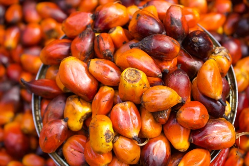 The palm kernel is the edible seed of the oil palm fruit. The fruit yields two distinct oils: palm oil derived from the outer parts of the fruit, and palm kernel oil derived from the kernel.