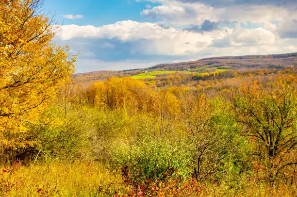 Scenic autumn landscape of from Bruce Trail along Niagara Escarpment in Pretty River Valley Provincial Park, near Owen Sound, Ontario, Canada