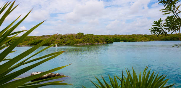 istock View of the Cancun coast 1322554891