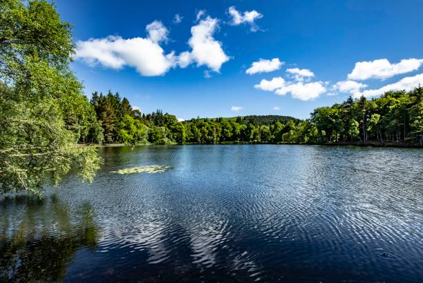 istock Sunny Day At Rural Selkirkshire Pond. 1322559554