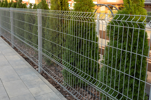 A metal mesh fence encloses a private area. Thuja hedge behind a metal fence