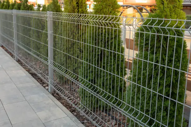 Photo of A metal mesh fence encloses a private area. Thuja hedge behind a metal fence. Steel grill. Fence with wire. Fencing.