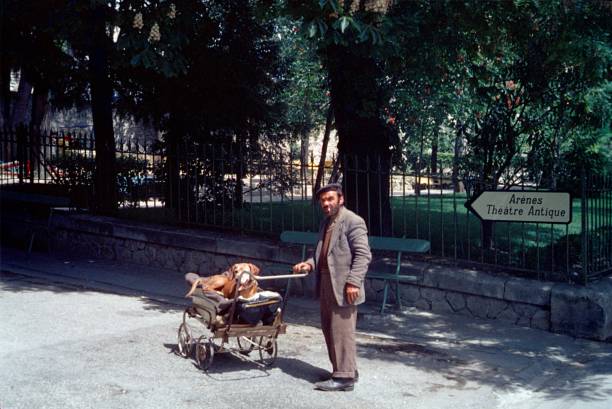 un clochard con il suo cane a nimes, nel sud della francia - tobacco wagon foto e immagini stock