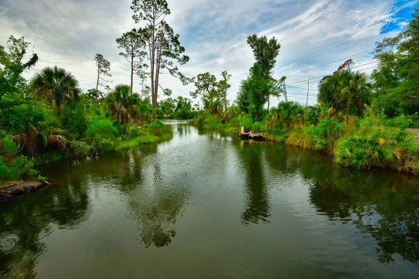 Lake Caroline looking south, just beyond the end of the photo is St. Andrews Bay which leads to the Gulf of Mexico