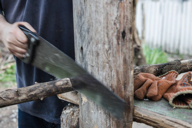 istock circumcised man sawing wood with a saw 1322568918