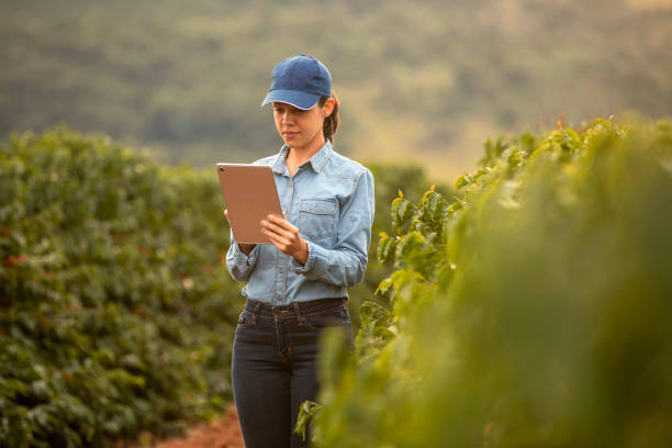 istock Farmer woman on coffee plantation 1322570860