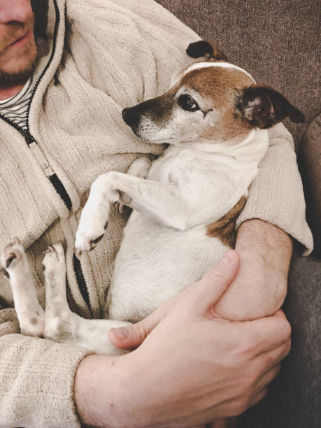 istock A senior dog in man's arms 1322571665