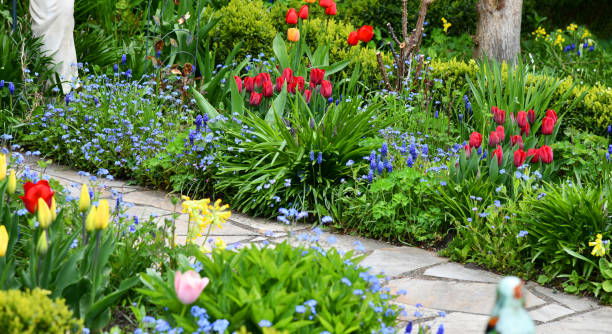 istock Colorful flower garden 1322572917