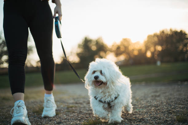 istock woman with dog 1322574958