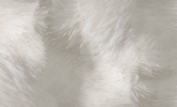 istock White Synthetic Soft Plush , Animal Furry Texture Background 1322575525