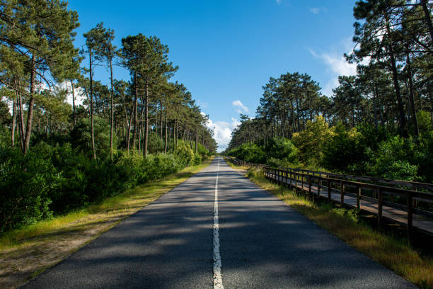 istock Asphalt road and wooden walkway 1322589934