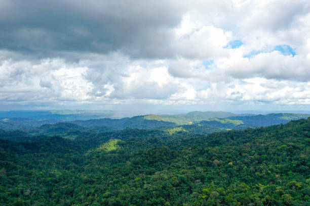 istock Aerial view over a tropical forest covered in rain clouds with sunlight falling through the cloudscape on the rainforest canopy in Ecuador South America 1322590968