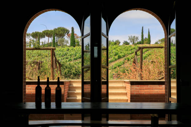 Italian vineyard from window in tuscany Italian vineyard from window in tuscany chianti region stock pictures, royalty-free photos & images