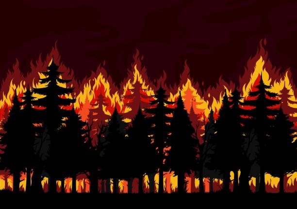 Incendio Forestal Ilustraciones - Banco de fotos e imágenes de stock - iStock Incendio Forestal Ilustraciones - Banco de fotos e imágenes de stock - iStock