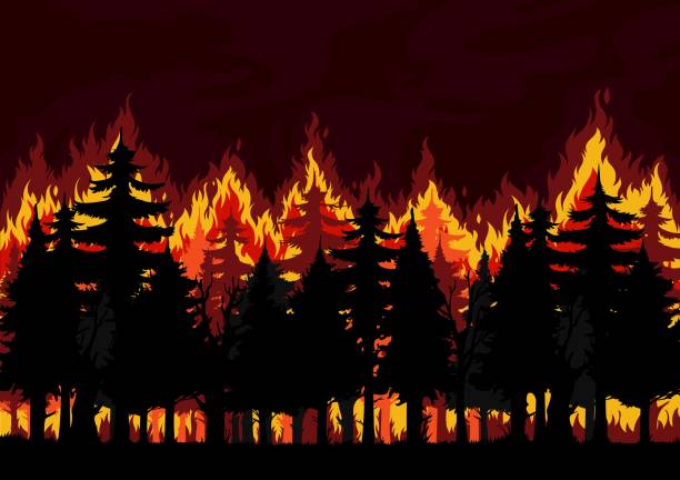 Spruce forest fire, natural disaster background Forest fire background, burning spruce, pine trees vector silhouettes. Natural disaster, ecological catastrophe and environment pollution, climate changes and global warming problem backdrop forest fire stock illustrations