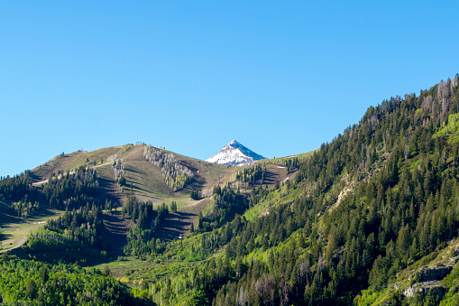 This is a view from the hiking trail that leads to Stewart Falls near Sundance and Mt. Timpanogos, Utah. This shot was taken in late May when the trees and surrounding plants were a vivid green.  High on the mountains, patches of snow are melting.