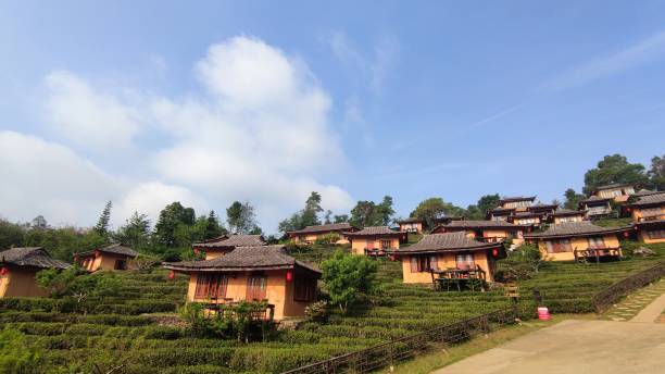 istock village in tea field and blue sky 1322599209