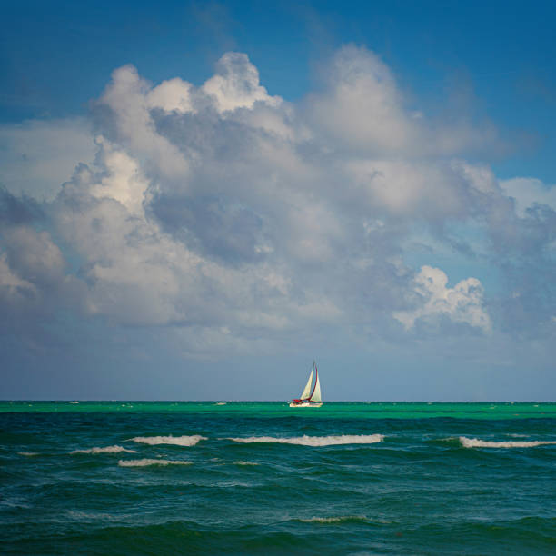 Boat sailing in Miami Beach, Florida